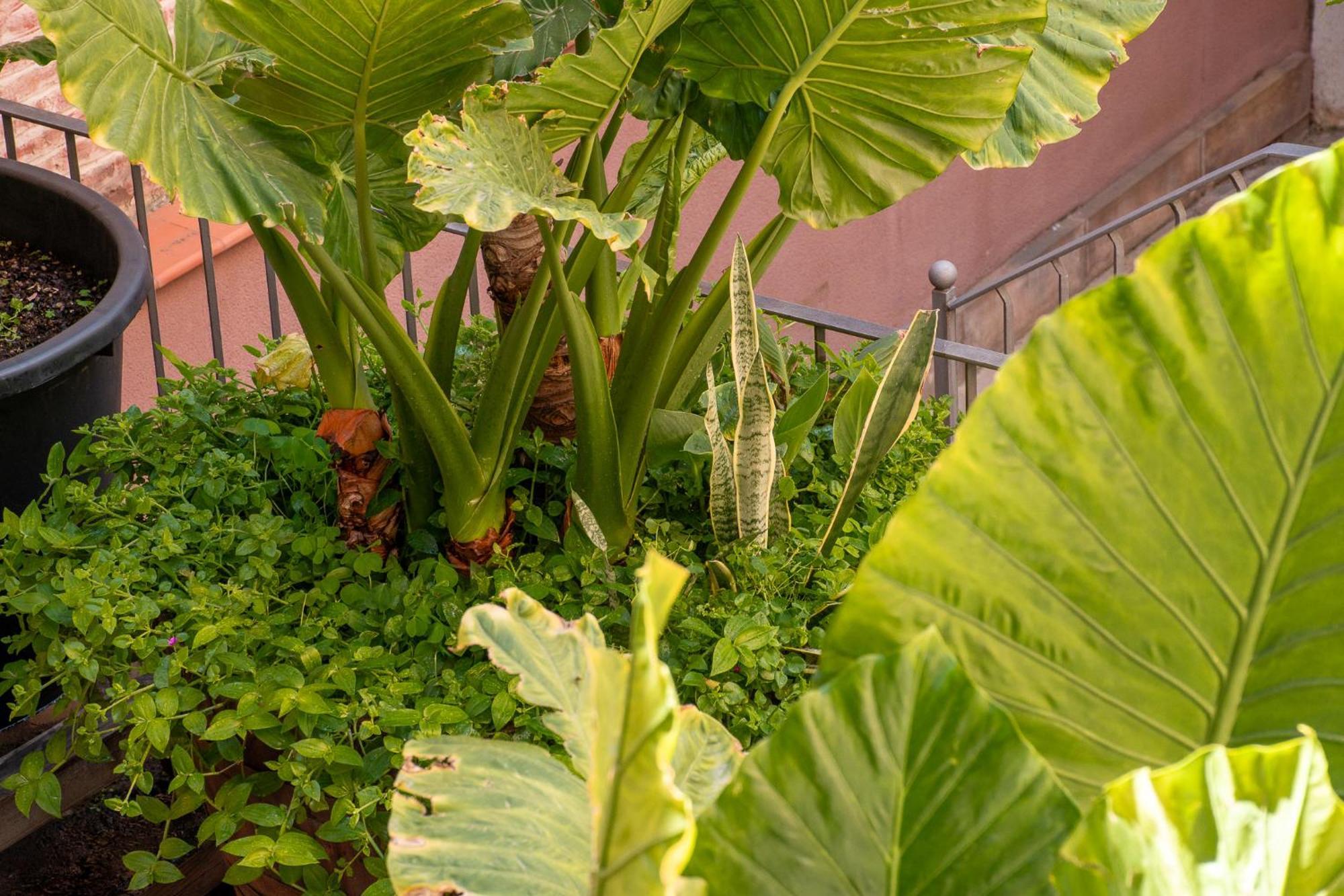 Bed and breakfast Verdi 254 Barcelona
